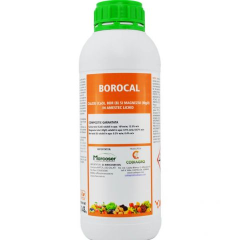 BOROCAL